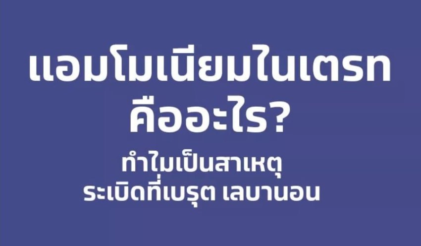 ระเบิดที่เบรุต กับ แอมโมเนียมไนเตรท